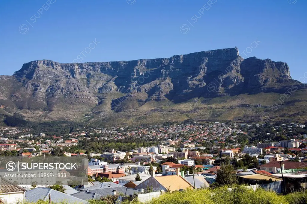 View of Cape Town city bowl and Table Mountain, Cape Town, Western Cape Province, South Africa