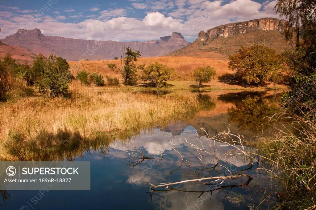 A view of the Amphitheatre from the Tugela River, Kwazulu Natal Province, South Africa