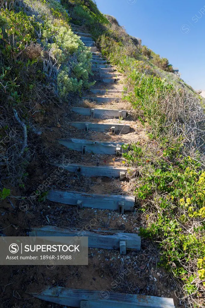 Wide angle view of steps going up a sandy hill/vegetated dune. Dana Bay, Western Cape, South Africa
