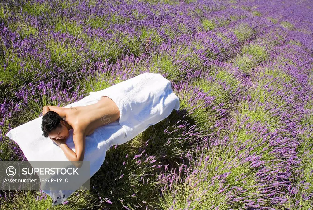 Woman lying on massage bed in lavender field, high angle view, Franschhoek, Western Cape Province, South Africa
