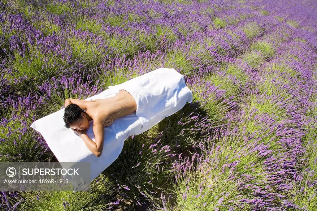 Man lying on massage bed in lavender field, high angle view, Franschhoek, Western Cape Province, South Africa