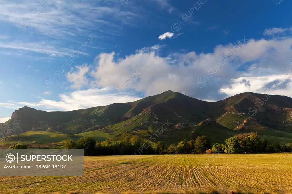 Wide angle view of a harvested farmland below the mountains of Clarens. Free State, South Africa.