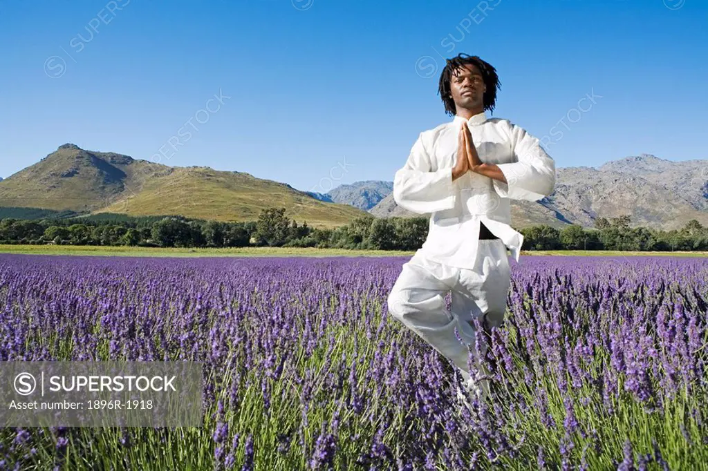 Man doing exercises in lavender field, mountains in background, Franschhoek, Western Cape Province, South Africa