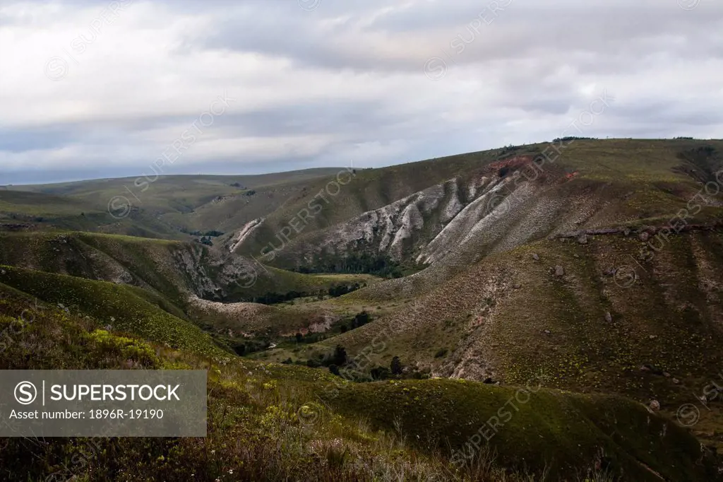 A beautiful view unfolds over the mountainous landscape of the Cape Folded Belt, covered with a varied amount of plant species that belong to the Cape...
