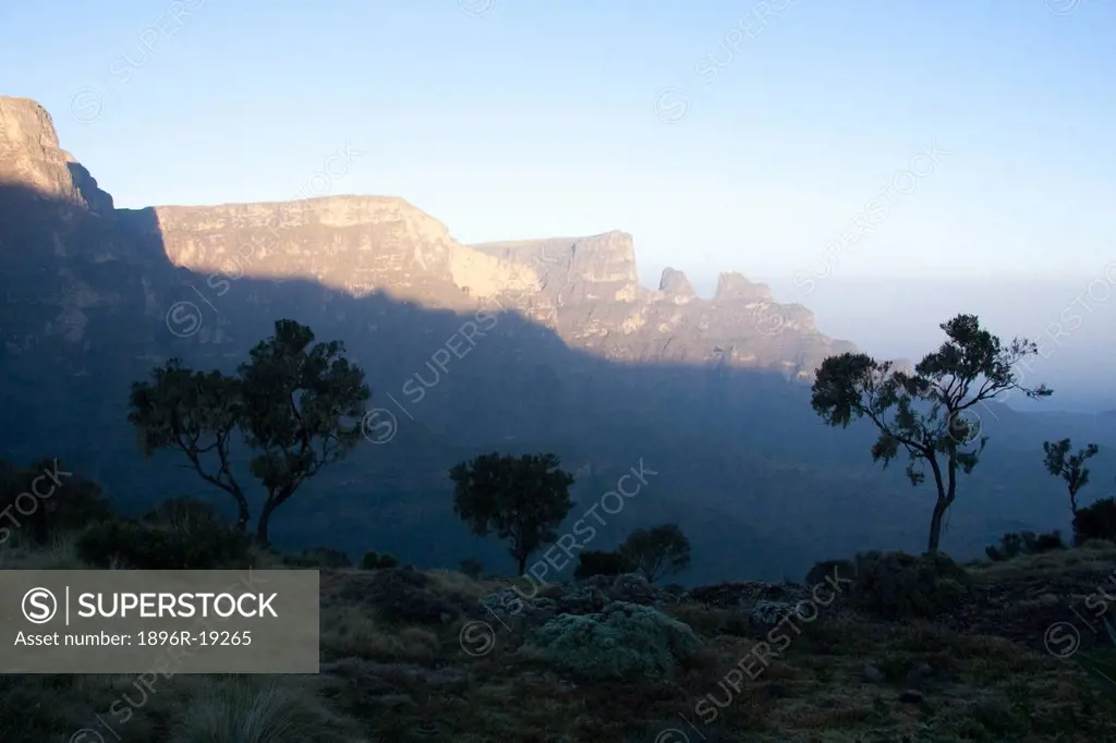 Trees outlined in the dawn at Sankaber Camp as sunrise touches the 4 000m peaks in the Simien Mountains National Park, near Debark, North Western Ethi...