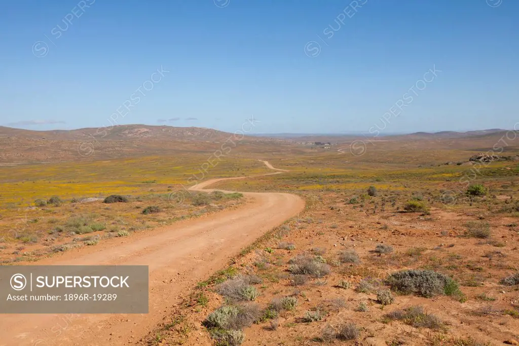 A dirt road winds through the barren landscape on the West Coast, with a small homestead in the distance, South Africa