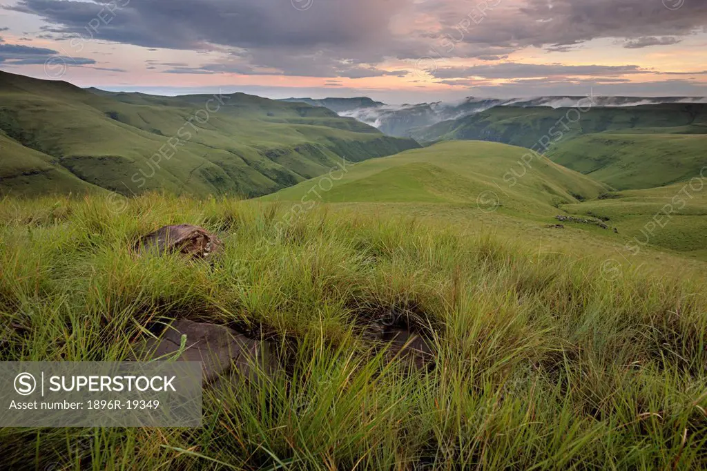 Grassy slopes of the Lower Drakensberg in the Mdedelo Wilderness, Drakensburg mountains, Kwazulu-Natal, South Africa.