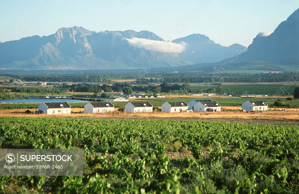 Farm Workers Cottages with Mountains in the Background  Paarl District, Boland, Western Cape Province, South Africa