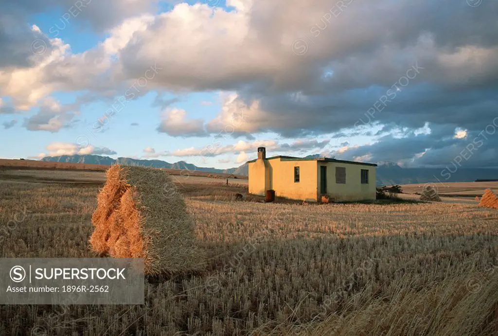 Scenic View of a Farm House with Bales of Hay in the Foreground  Caledon, Overberg, Western Cape Province, South Africa