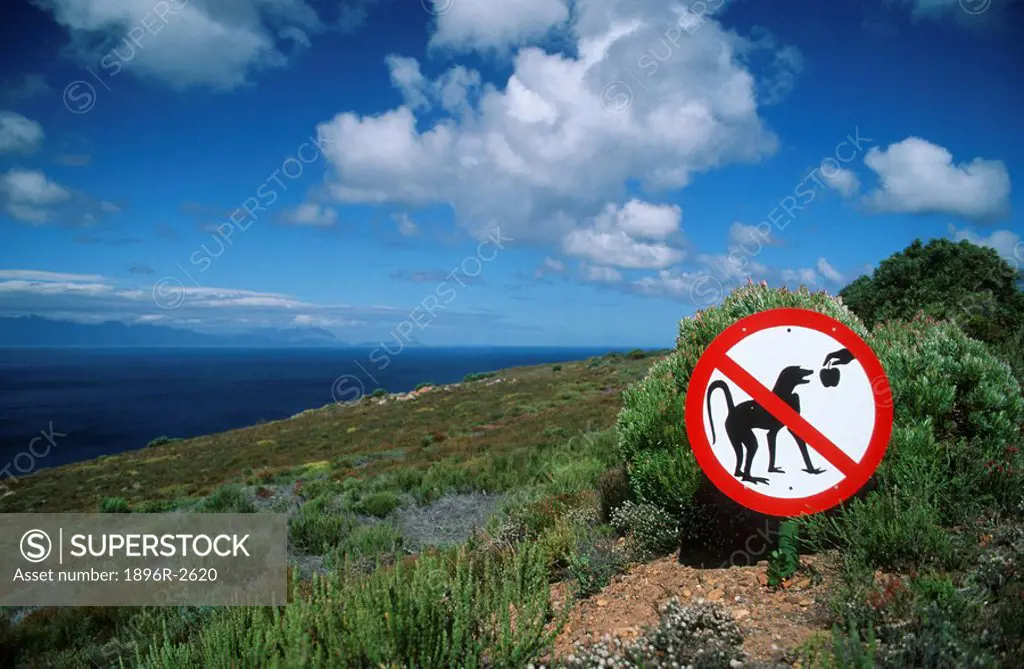 Scenic View of a Mountain and the Ocean with a Do Not Feed the Baboons Sign in the Foreground  Cape Peninsula, Cape Town, Western Cape Province, South...