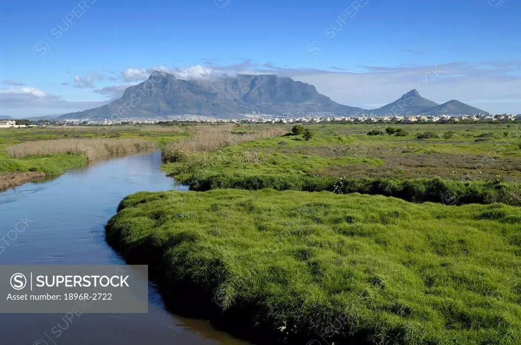 The Diep River Flowing Towards Milnerton Lagoon  Cape Town, Western Cape Province, South Africa