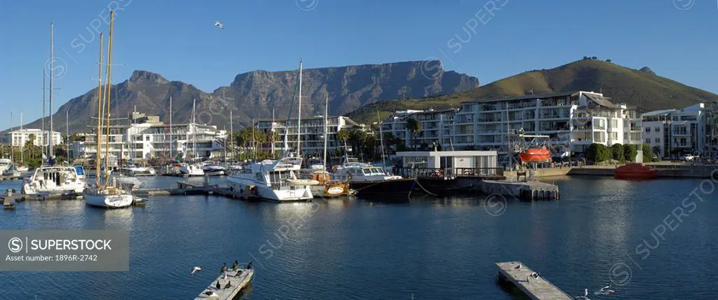 A Calm Blue Afternoon at Granger Bay Marina  Cape Town, Western Cape Province, South Africa