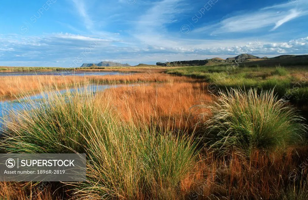 Scenic View Of Cobham Grasslands  Injasuti Nature Reserve, KwaZulu Natal, South Africa
