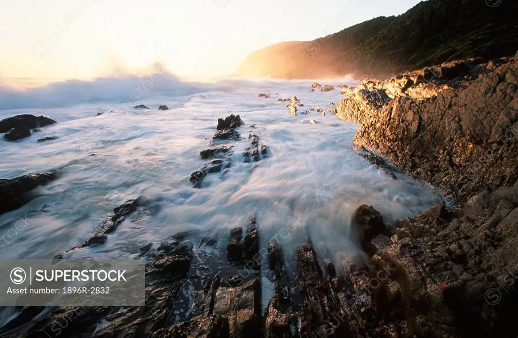 Coastal Scenic with Waves Breaking on the Rocks  Tsitsikamma National Park, Eastern Cape Province, South Africa