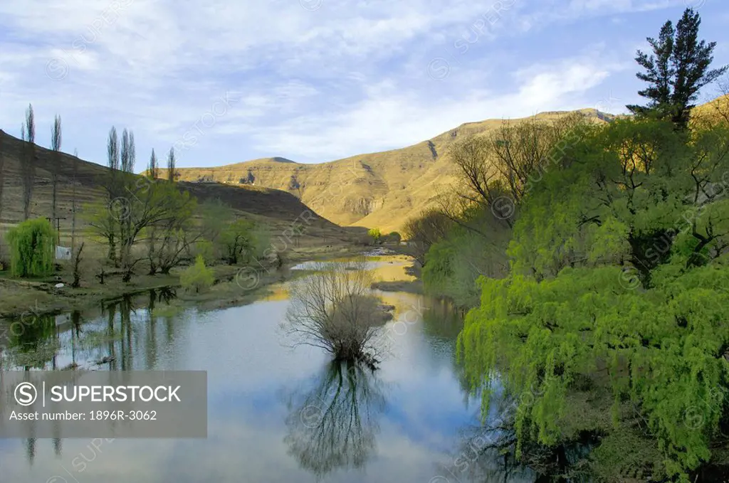 Willow Trees and Mountains Meet at the Senquyane River  Senquyane River, Lesotho