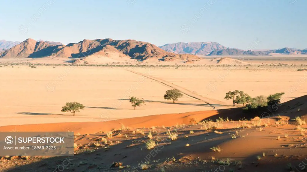 View Of Arid Sandy Lanscape with Mountains in Background  Elim Dunes, Namibia, Southern Africa
