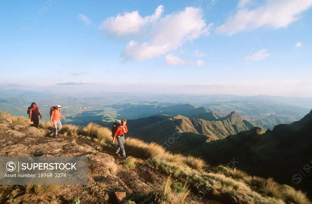 Three Men Hiking Below the Sentinel  Drakensberg Mountains, KwaZulu Natal Province, South Africa