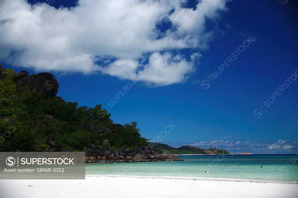 Bathers Swimming in the Ocean Shallows  Seychelles, Indian Ocean