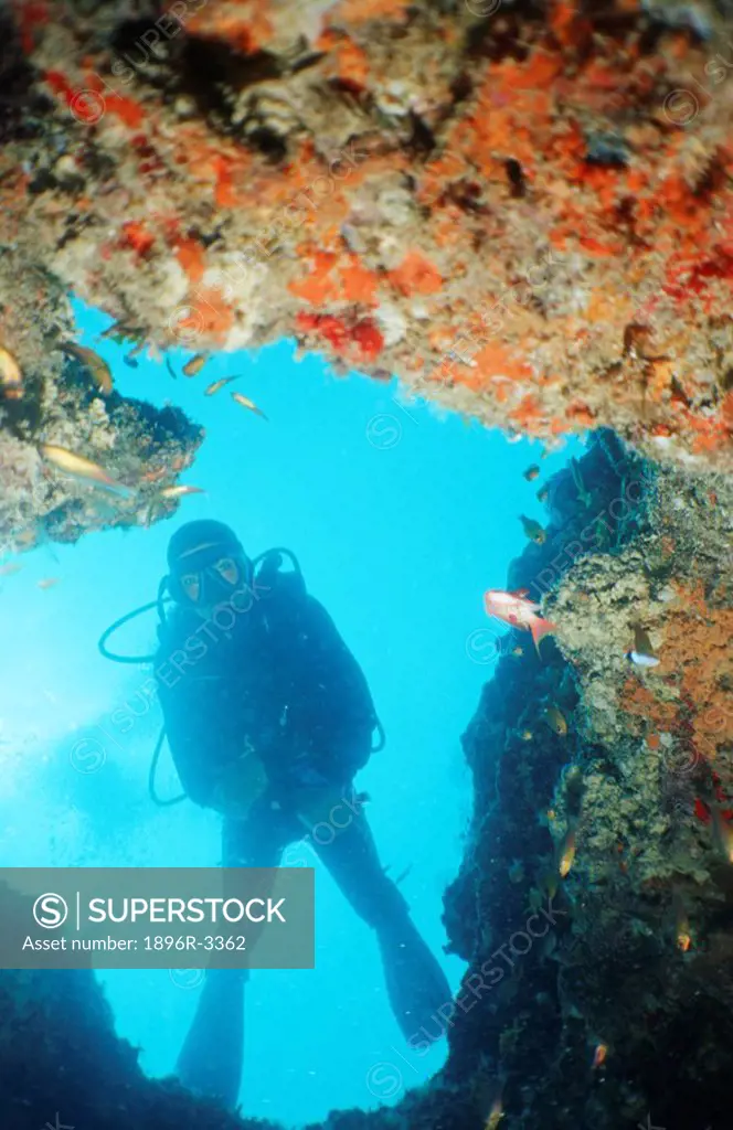 Portrait of a Diver Hanging in the Water Near Coral Reef  Indian Ocean, Seychelles