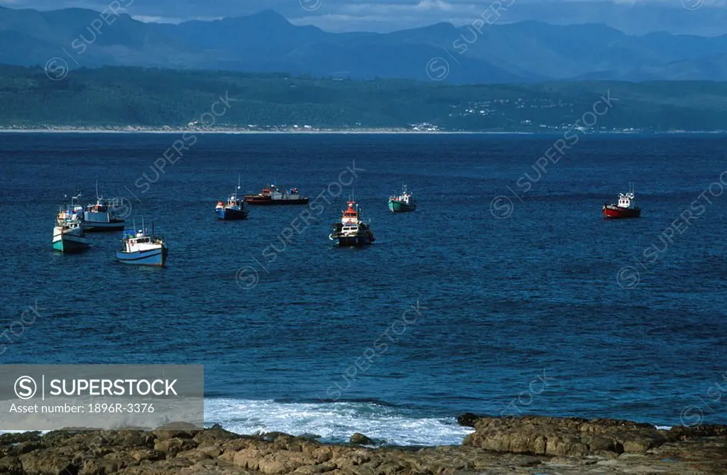 Trawlers in Bay  Plettenberg Bay, Garden Route, Western Cape Province, South Africa