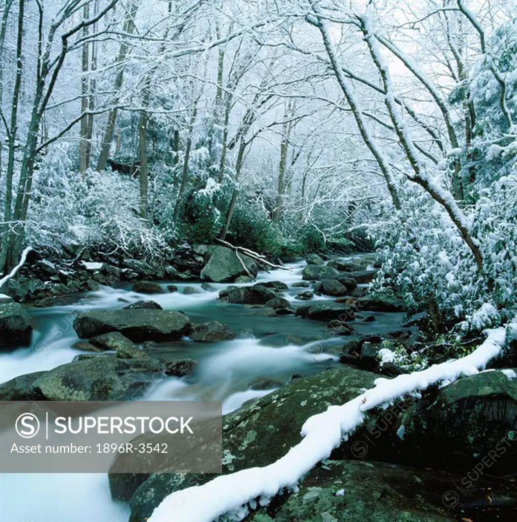 Little Pigeon River in Winter  Great Smoky Mountains National Park, Tennessee, United States of America