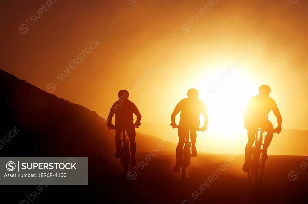 Silhouette of Three Cyclists at Sunset  Namib Desert, Namibia