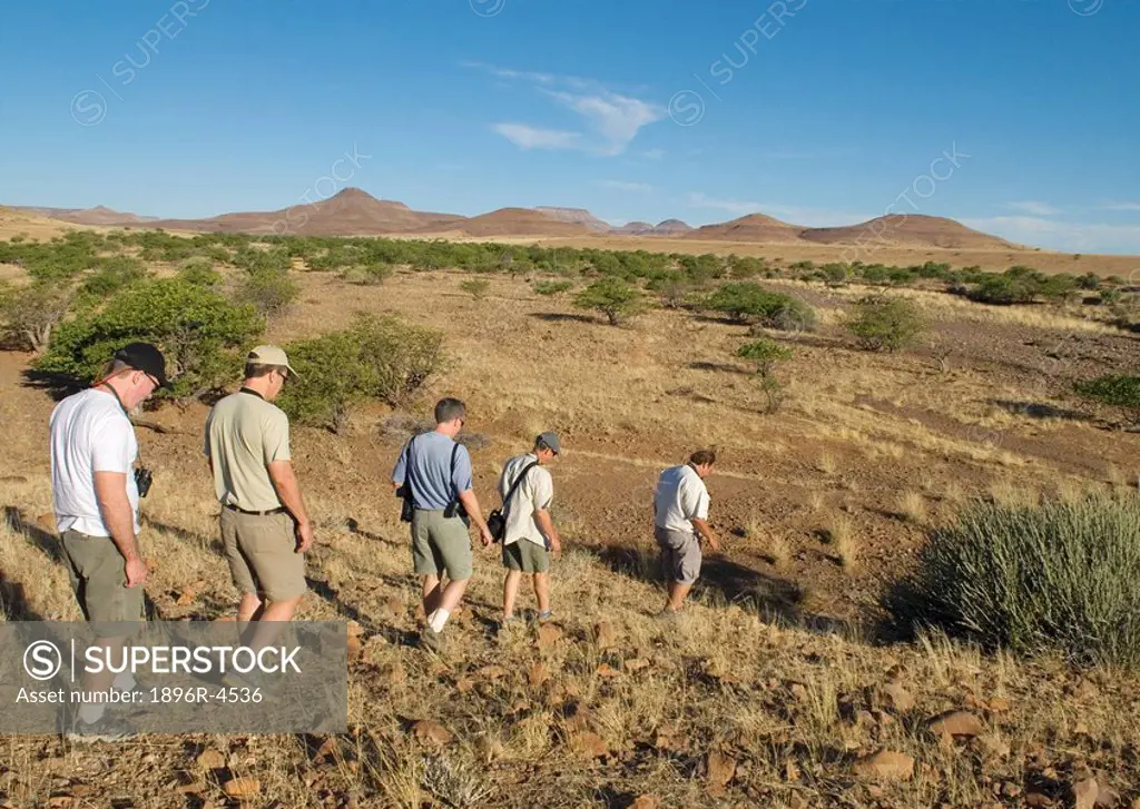 Tourists on a Desert Safari Walk  Damaraland, Palmwag Concession, Namibia, Africa