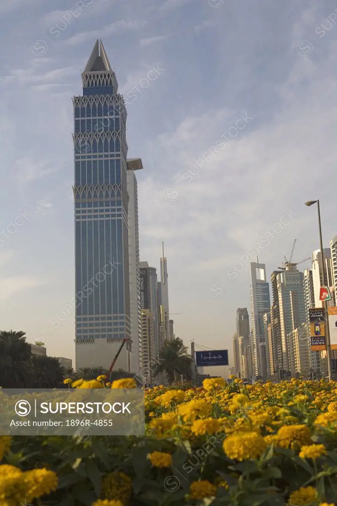 View of Yellow Flowers in Bloom on Sheikh Zayed Road  Dubai, United Arab Emirates