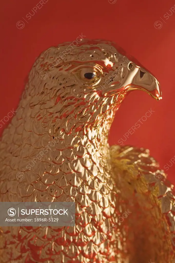 Golden falcon, side profile view  United Arab Emirates