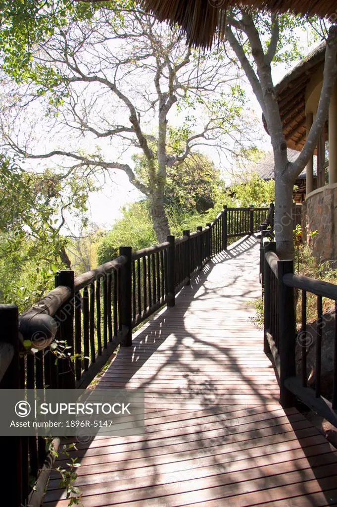 Wooden walkway at a safari lodge. Mpumalanga Province, South Africa