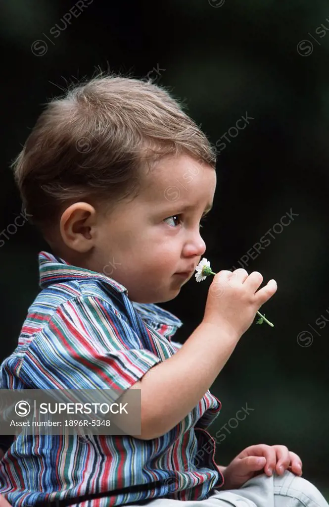 Young Boy Smelling a Flower  Gauteng Province, South Africa