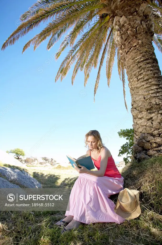 Young Woman Reading a Book Under a Palm Tree  Cape Town, Western Cape Province, South Africa