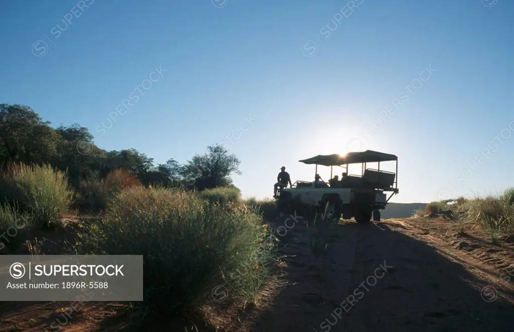 Game drive in Tswalu Desert Reserve, Northern Cape Province, South Africa