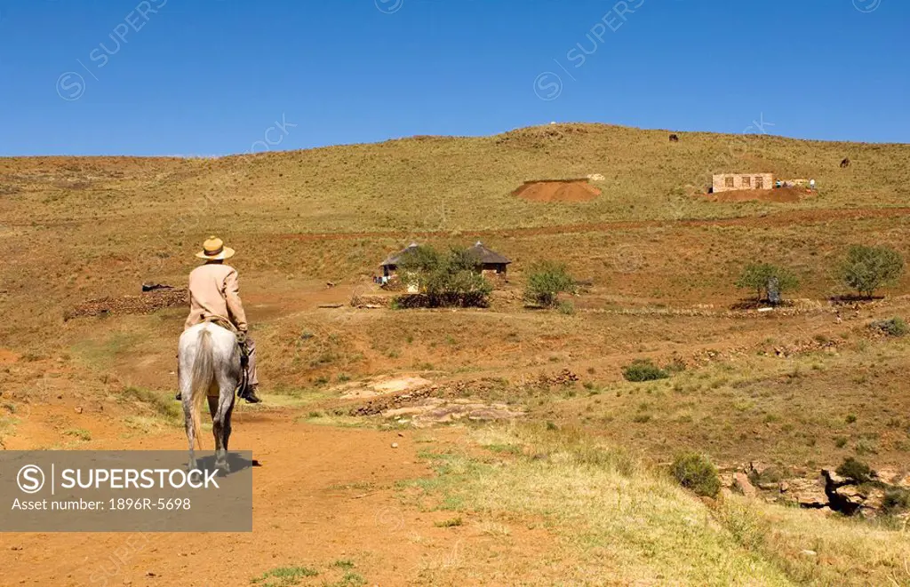 Basotho man riding a pony along a track   Lesotho, Southern Africa