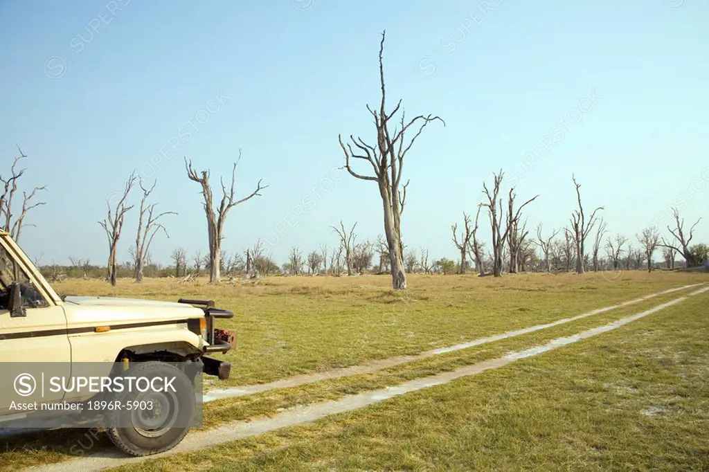 Side view of a 4x4 vehicle on safari with Dead Tree Island in the background, Okavango Delta, Botswana