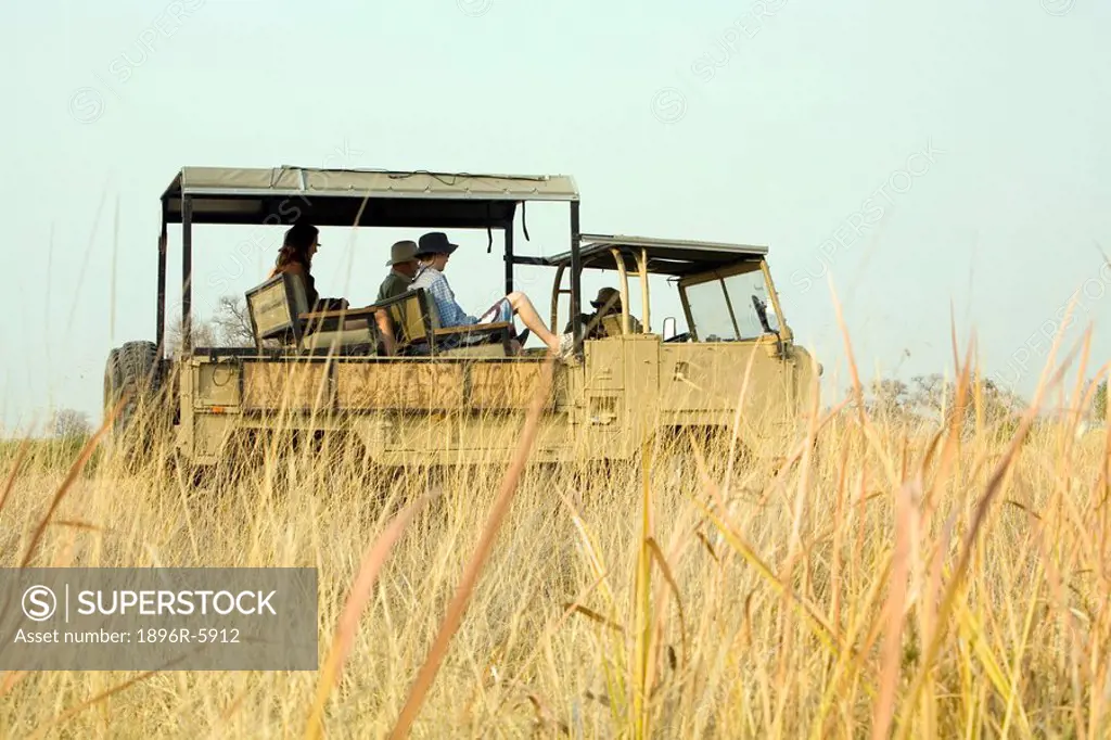 Low angle view of a family on safari, Okavango Delta, Botswana