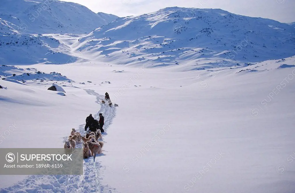 Dog Sledders with Huskies in Snow Covered Landscape  Ammasalik Island, Tasiilaq, Greenland
