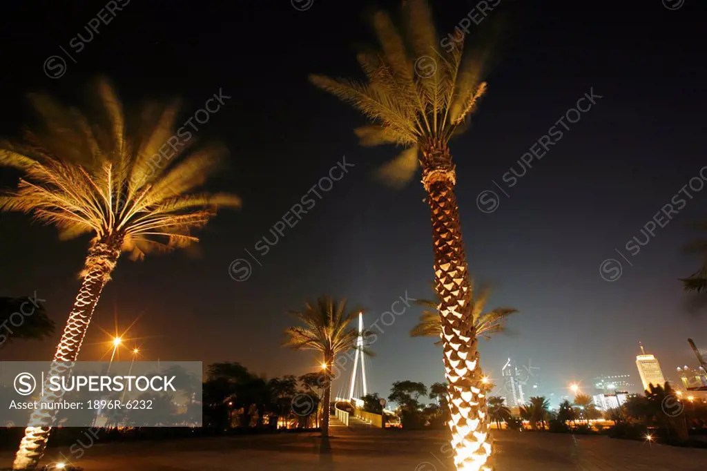 Palm trees in Zabeel park with Dubai´s skyline in background, photographed at night. Zabeel Park, Dubai, United Arab Emirates