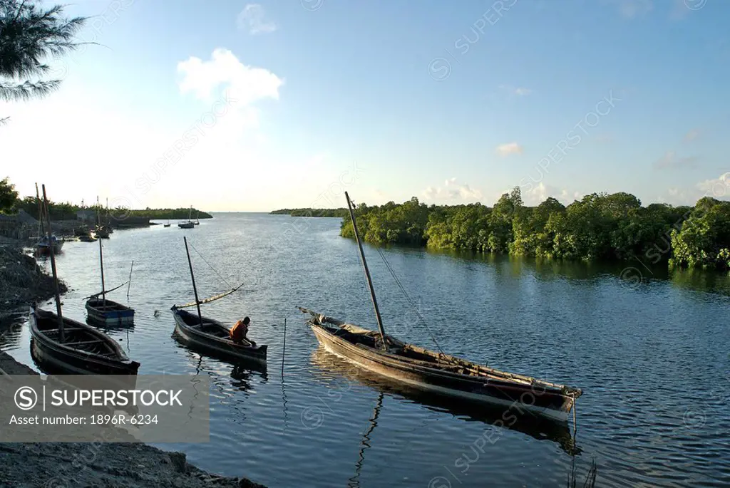 Traditional Swahili boats docked in the river. Lamu Island , Kenya, Africa