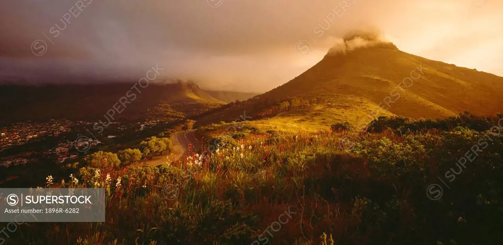 Slopes of Signal Hill towards a cloud covered Lions Head. Cape Town, Western Cape Province, South Africa