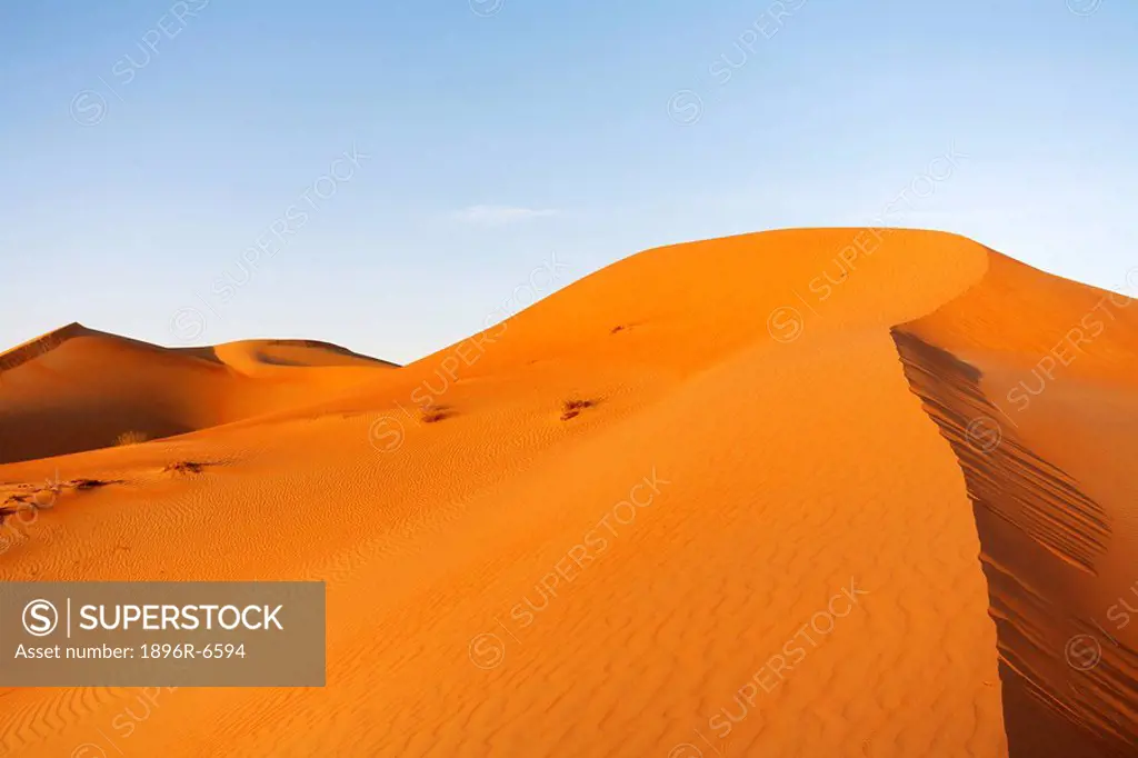 Sand Dunes. Abu Dhabi, United Arab Emirates