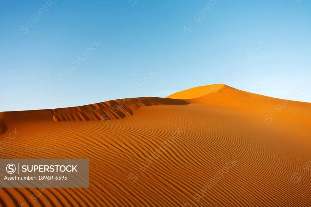 Desert sand dunes in Abu Dhabi. United Arab Emirates