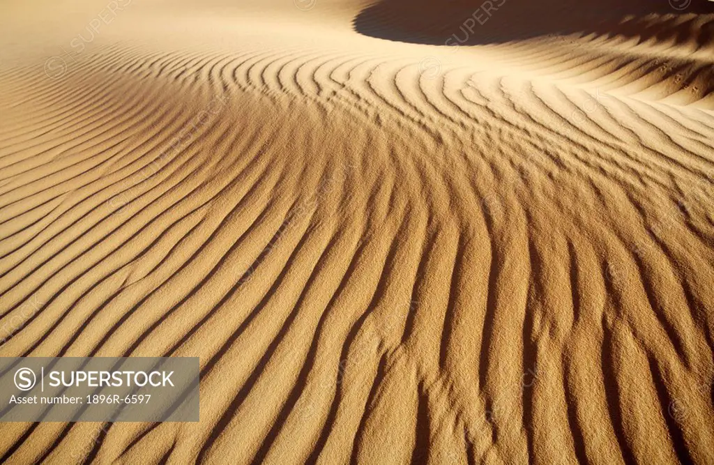 Ripple wind patterns on the sand in the Abu Dhabi Desert. United Arab Emirates