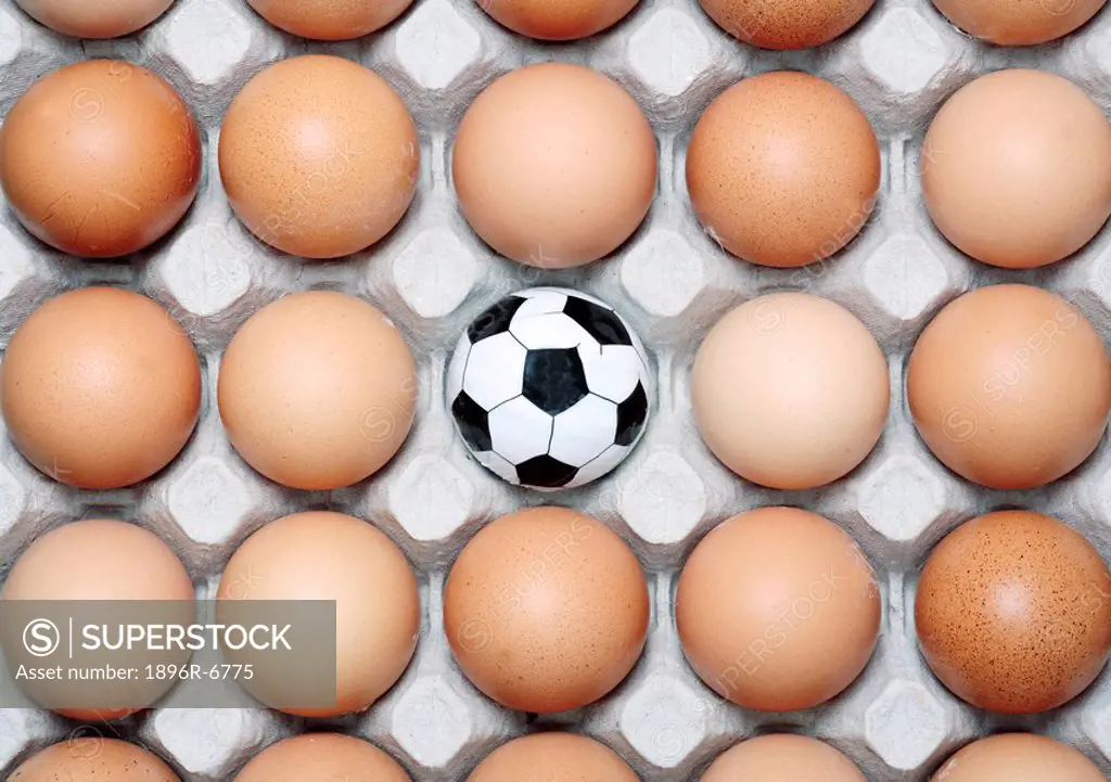 Studio shot of small football among eggs on egg tray, Grahamstown, Eastern Cape Province, South Africa
