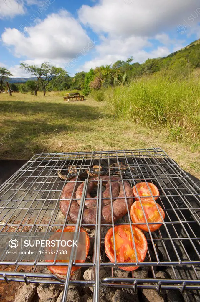 Food cooking on barbecue, Ithala Game reserve, Northern KwaZulu_Natal Province, South Africa.