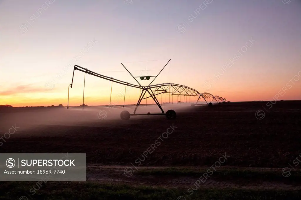 Irrigation on potato fields at dusk, Lambert´s bay, Western Cape Province, South Africa