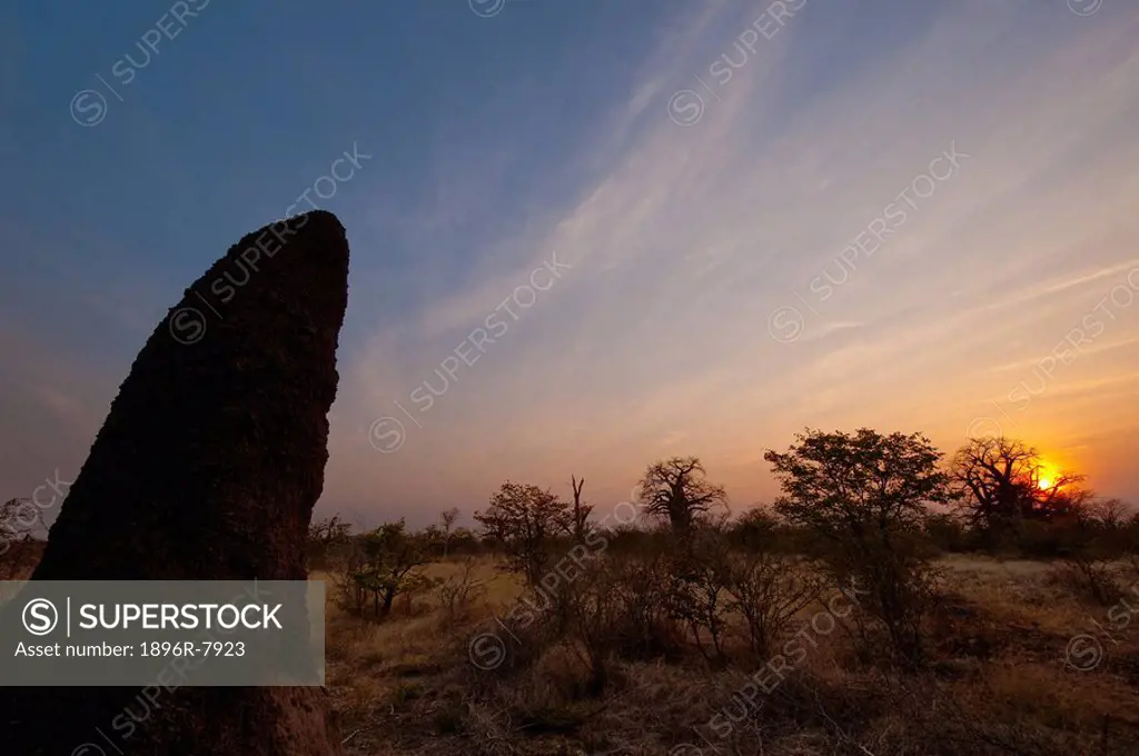 Termite mound in the sunset, Makgadigadi, Botswana