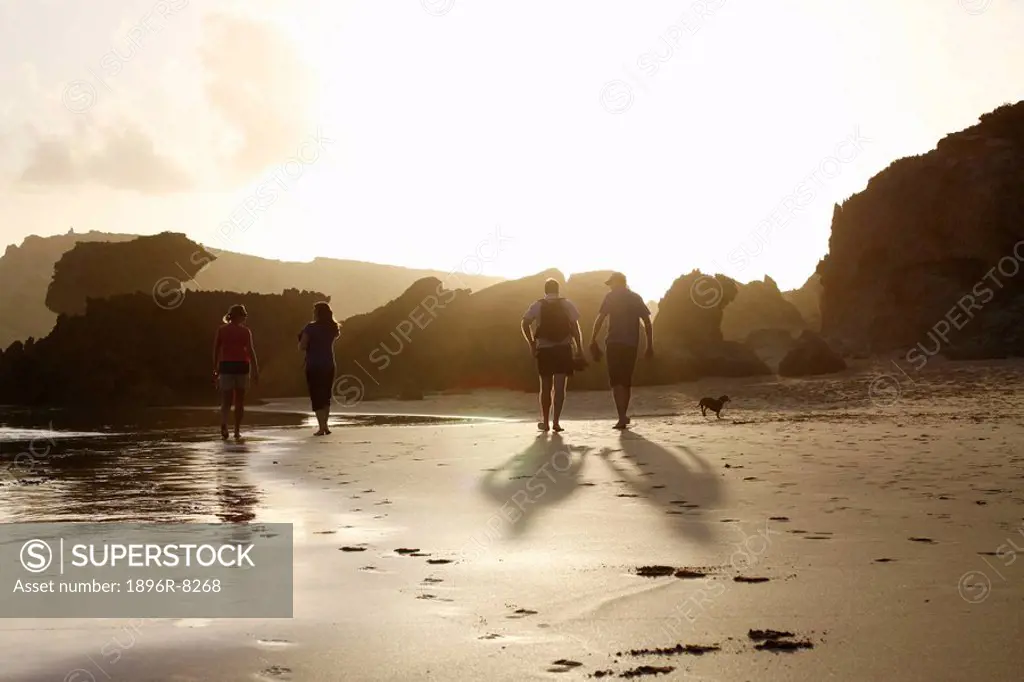 Four people walking on the beach at sunset, Kenton on Sea, Eastern Cape Province, South Africa