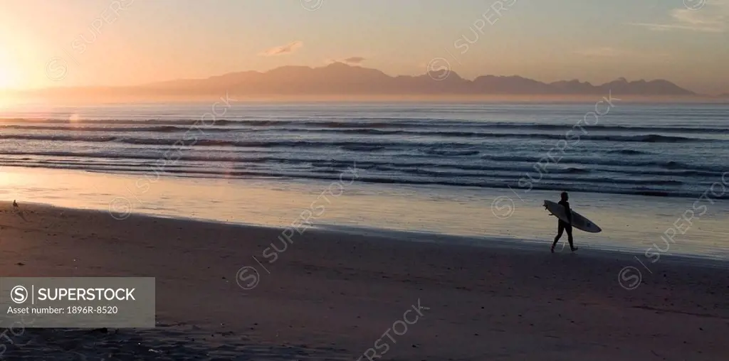 Surfer carrying board to sea at sunrise, Muizenberg, Cape Town, Western Cape Province, South Africa.