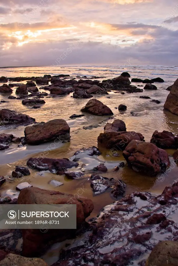 Red fynbos tannin_tinted water flowing into sea around rocks, sunrise illuminating clouds and reflecting off water, Muizenberg, Cape Peninsula, Wester...